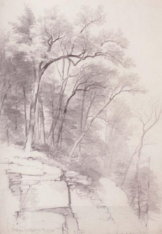 Asher Brown Durand Study of Trees and Rocks,kaaterskill Clove China oil painting art